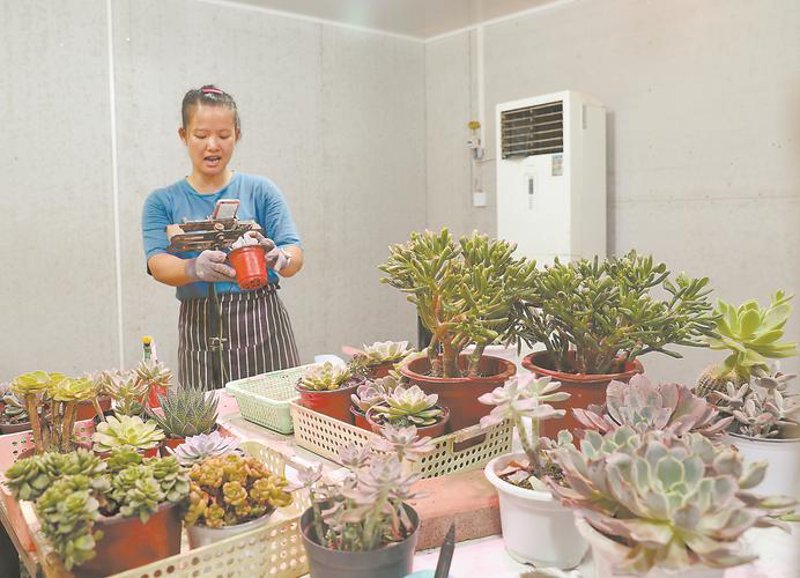 三优尚品：品质生活的新探索